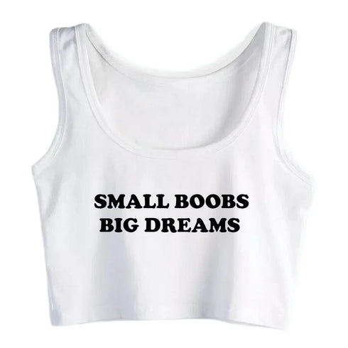 Small Boobs Big Dreams Crop Top